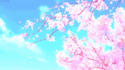 MaccosCockfit飞机杯点评，独特的通道设计14