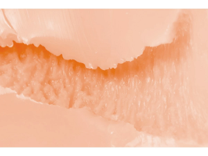 Tomax大魔王维纳斯经典硬度测评VenusRealregular×richsoft2 Tomax大魔王维纳斯经典硬度测评VenusRealregular×richsoft2