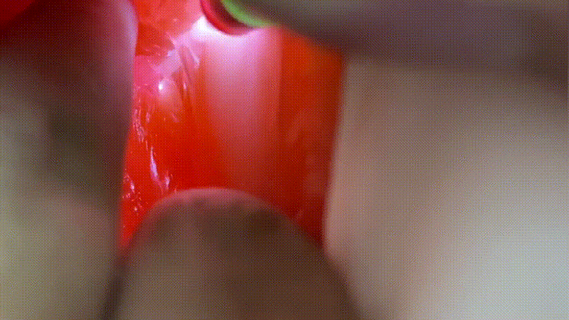 蜜莉酱|诱惑来袭,是个男人都顶不住啊!24 蜜莉酱|诱惑来袭,是个男人都顶不住啊!24