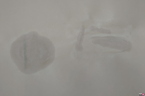 梦想女神泷泽萝拉全自动叫春抽插旋转活塞杯-呻吟、抽插、旋转三大需求一次满足;35 梦想女神泷泽萝拉全自动叫春抽插旋转活塞杯-呻吟、抽插、旋转三大需求一次满足;35