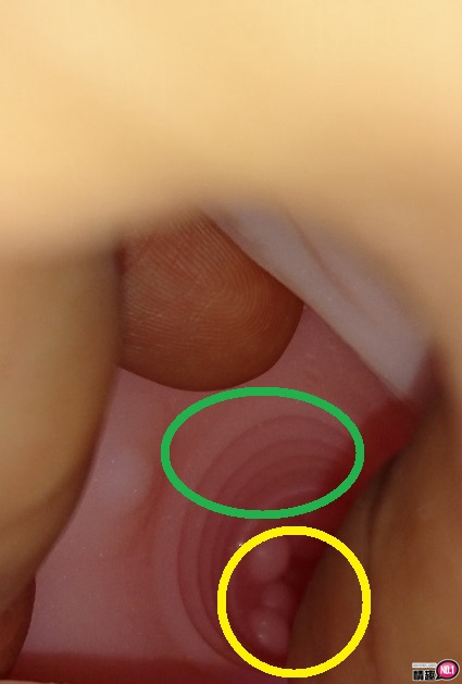 好色针织衫的诱惑。日本ToysHeart童贞杀毛衣露臀背后位女孩;24