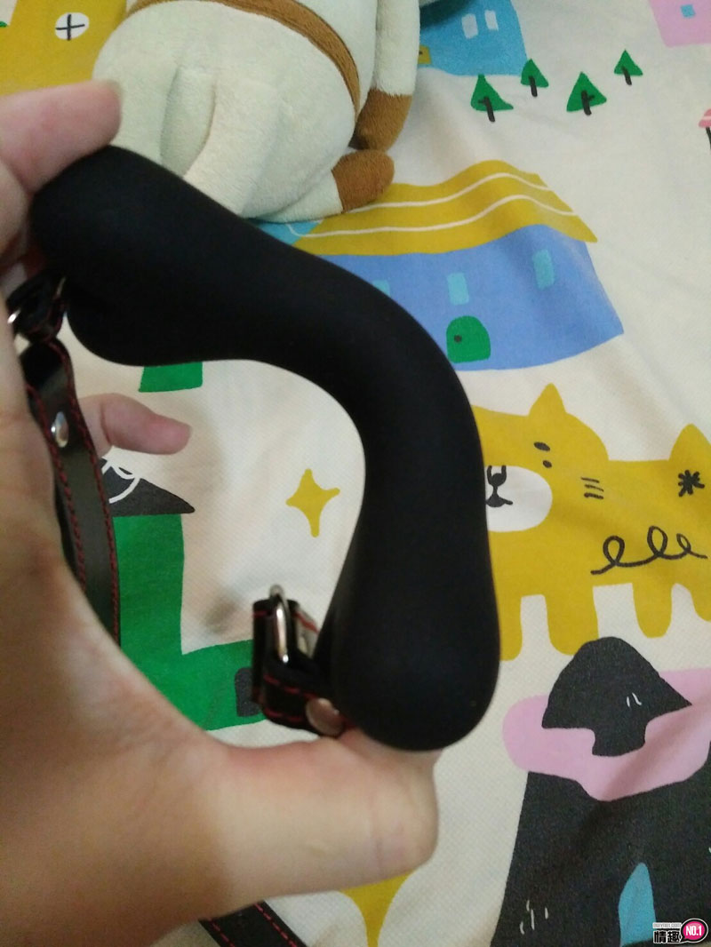 奴的调教品，骨头口枷与鞭。奴役虐恋系列-SM骨头口枷项圈+调情皮鞭;6