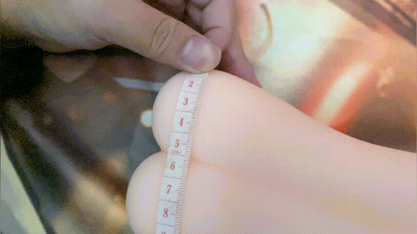 RQS童颜巨O的凉宫凌小姐姐6 RQS童颜巨O的凉宫凌小姐姐6