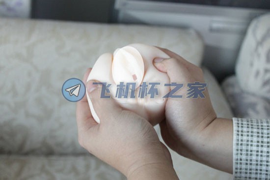 npg的名器证明006颜如意名器倒模开箱测评！！！6