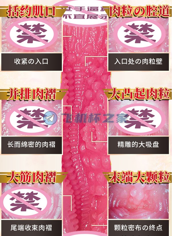 温婉如水，未来可“妻”——npg003ys二代目葵司1