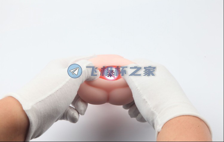 新品【ONAHO五等分新娘NAINAI】动漫款飞机杯评测13