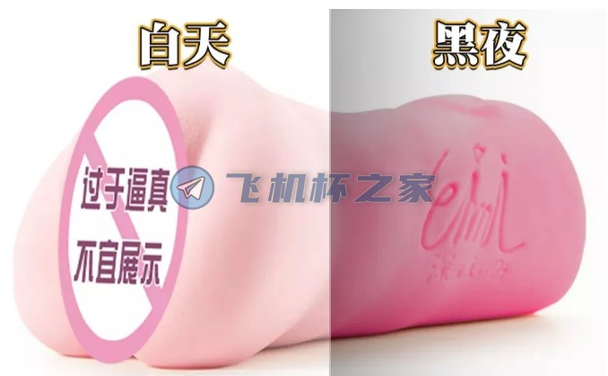 NPG名器证明012-深田咏美2