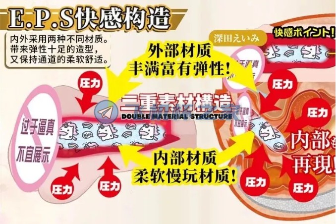 NPG名器证明012-深田咏美4