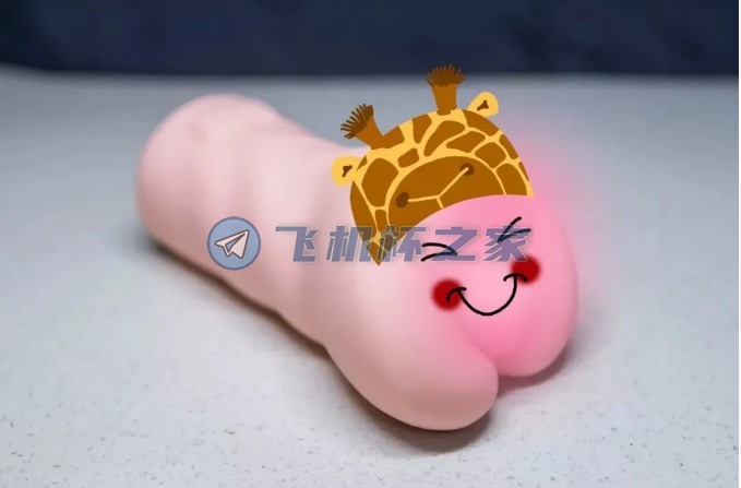 NPG名器证明012-深田咏美5