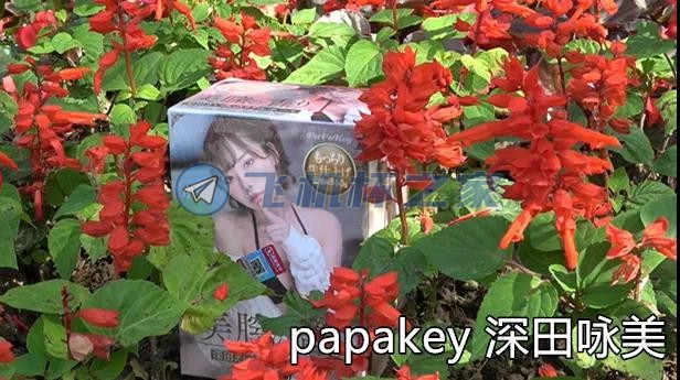 深田咏美4款飞机杯横向对比评测1