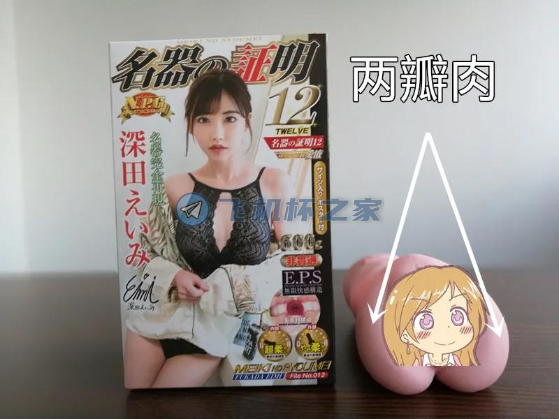 深田咏美4款飞机杯横向对比评测7