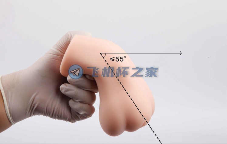 【MACCOS红绳姐姐】动漫款飞机杯评测10