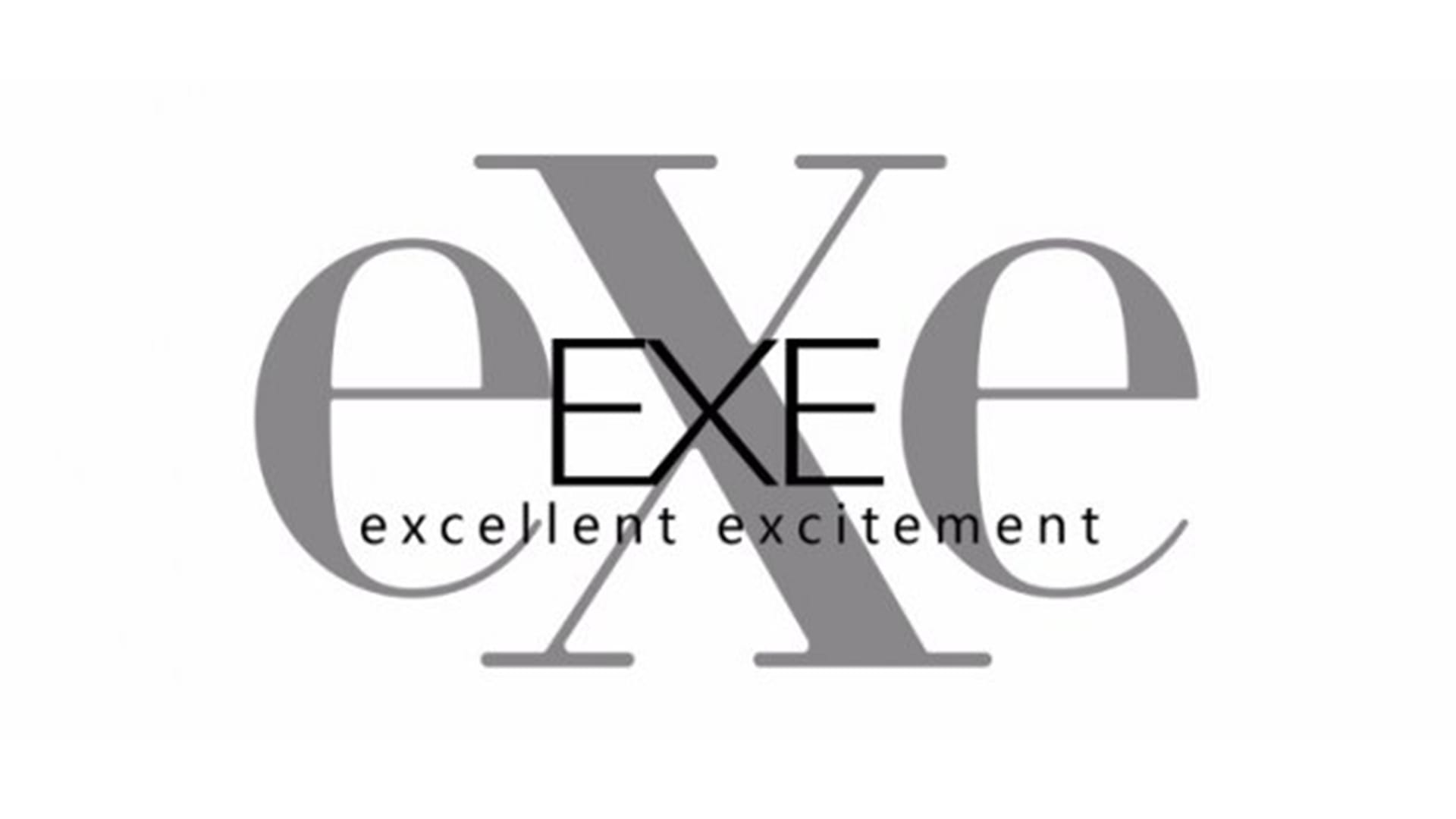 日本EXE (Excellent Excitement)飞机杯品牌百科